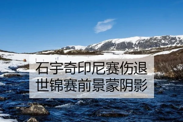 石宇奇印尼赛伤退 世锦赛前景蒙阴影