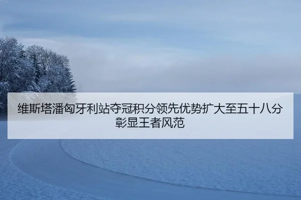 维斯塔潘匈牙利站夺冠积分领先优势扩大至五十八分彰显王者风范
