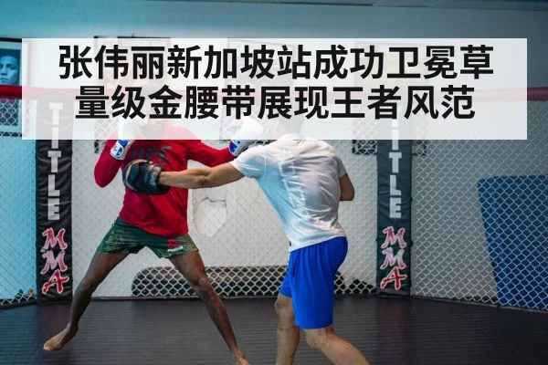 UFC fight