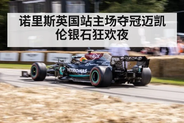 诺里斯英国站主场夺冠迈凯伦银石狂欢夜